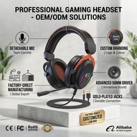 Headset Gaming RGB OEM ODM dengan Mikrofon Peredam Kebisingan, Speaker 50mm, Desain Over-Ear dari Metal & Kulit