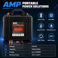 Batterie LiFePO4 25,6V 24V 100Ah avec BMS intelligent pour bateaux, navires, véhicules récréatifs et stockage d'énergie