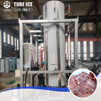 Usine à glace entièrement automatisée de 5 tonnes, machine à fabriquer de la glace en blocs plats et en tubes en Europe