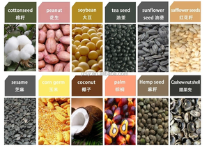 High Quality Screw Cold Cottonseeds Sesame <strong>Oil</strong> Press Machine Coconut <strong>Oil</strong> Press <strong>Equipment</strong> Rapeseed <strong>Oil</strong> <strong>Processing</strong> Production Line - Product Image 6