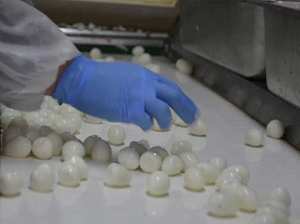 <span class=keywords><strong>Œuf</strong></span>s <span class=keywords><strong>de</strong></span> <span class=keywords><strong>caille</strong></span> biologiques bouillis, pelés, prêts à consommer, grande taille, emballés sous vide, <span class=keywords><strong>œuf</strong></span>s <span class=keywords><strong>de</strong></span> <span class=keywords><strong>caille</strong></span> en conserve, <span class=keywords><strong>prix</strong></span> compétitif - Product Image 5