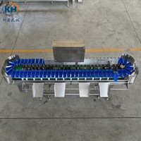 Commerciële fruit- en groentesorteermachine 1,1 kW duurzame kracht voor stabiele productie in diepvriesfabrieken