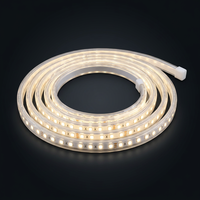 Bande lumineuse LED haute tension 220V, étanche IP67, extérieur, 2835 cuivre, 50 mètres, Ra80