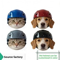 Casque pour animaux de compagnie, style moto, pour chiens et chats, accessoire de costume mignon, sangle de menton réglable, casque respirant pour petits chiens et chats