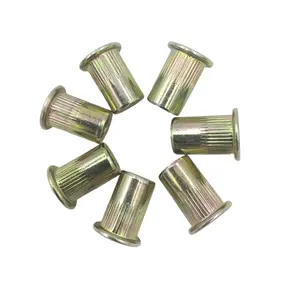 Carbon steel iron Threaded Nuts with galvanization Flat head knurled body steel rivet nut