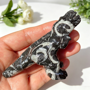 Figurine de dinosaure sculptée à la main en <span class=keywords><strong>pierre</strong></span> semi-précieuse naturelle de 10-12 cm, statue en cristal, <span class=keywords><strong>pierre</strong></span> de guérison, <span class=keywords><strong>sculpture</strong></span> animale pour la décoration - Product Image 4