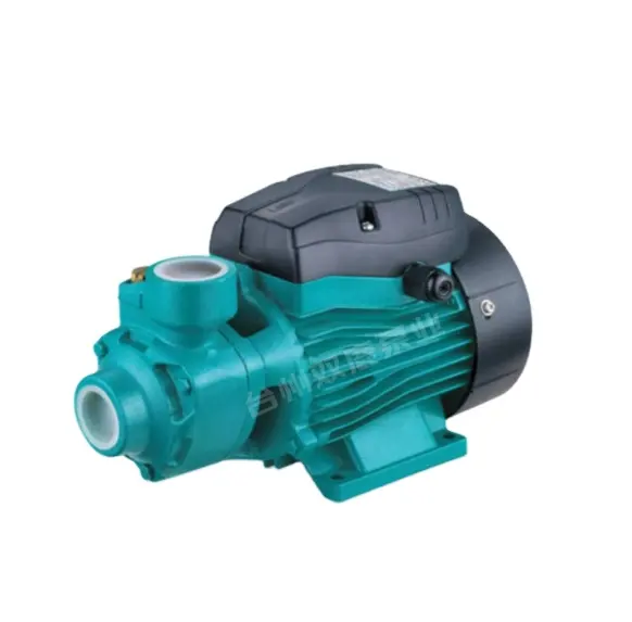 Serie QB 220V 550W 0.75HP Bomba de agua duradera para riego doméstico Corriente de vórtice Limpieza periférica Combustible eléctrico