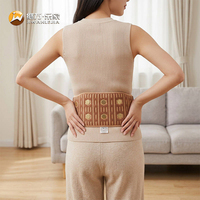 Jiwan Lejia - Cinturón Térmico de Cerámica de Jade Personalizado al por Mayor, Soporte Lumbar Térmico para Centros de Rehabilitación