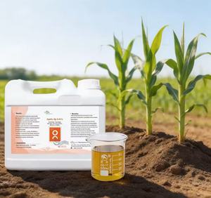 Stimulant de rendement du maïs : tiges robustes, épis plus volumineux, grains plus fournis. Biostimulant <span class=keywords><strong>liquide</strong></span> foliaire pour maïs à base d'acides aminés, Zn, B, Fe. - Product Image 1