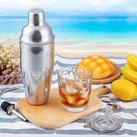 Ensemble d'outils de bar en acier inoxydable, kit de 13 pièces pour cocktails, shaker à cocktails, kit de mixologie pour barman avec support