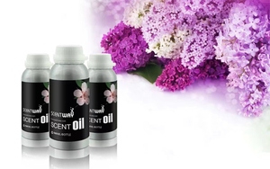 Factory Direct Fragrance <strong>Oil</strong> <strong>Essential</strong> <strong>Oil</strong> <strong>Diffuser</strong> Large Aromatherapy Machine <strong>Essential</strong> <strong>Oil</strong> - Product Image 3