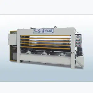 Machine de presse à chaud hydraulique de peau de porte en bois 100 tonnes