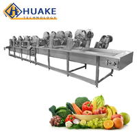Industriële continue bladgroente- en fruitwasmachine, voedselveilige reinigingsmachine voor productie