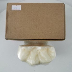 Modèle anatomique en résine du nerf dentaire à six plis M7023 pour l'enseignement dentaire - Product Image 2