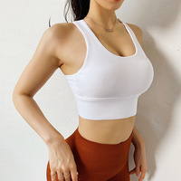 Soutien-gorge de sport à impact élevé pour femmes à la mode soutien-gorge de Yoga à bretelles sans couture antichoc rassemble beau dos croisé élastique grande taille