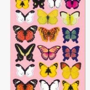 3D Butterfly <b>Wall</b> Stickers Waterproof Plastic Home <b>Decoration</b> H1-001-002 - Product Image 4