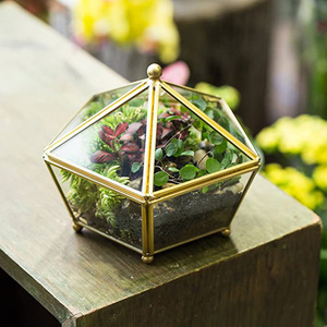 DS Perhiasan Dekoratif Antik Penyimpanan Kotak Jendela Terarium Geometris Dada Kaca Bening Bentuk Pentagon Perhiasan Kecil - Product Image 6