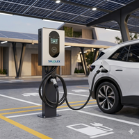 Cargador Rápido para Vehículos Eléctricos de 20KW CC, Estándar GBT, IP54, para Exteriores, 380V, Trifásico, con Soporte