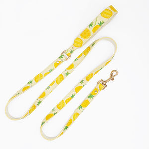 Venta al por mayor de arneses originales de moda imprimibles para mascotas, correas, collares para gatos y perros Suministros transfronterizos para mascotas - Product Image 4