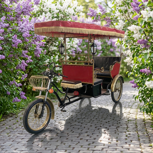 Tricycle touristique à propulsion humaine de haute qualité, capacité 4 personnes, cadre en acier Q235B, à vendre - Product Image 1