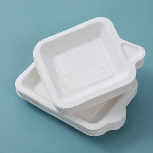 Assiettes <span class=keywords><strong>en</strong></span> papier biodégradables personnalisées et mignonnes pour gâteaux, fêtes, pique-niques et barbecues - Product Image 4