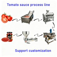 Hoogproductieve volautomatische tomatensoepmachine / tomatenconcentraat productielijn / tomatenpuree voedselsterilisator