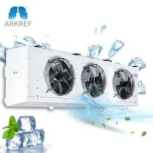 Sistema de refrigeración Industrial personalizado, enfriadores de aire, evaporador, habitación fría, almacenamiento en frío, enfriador evaporado