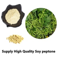 Poudre pure hydrolysée de peptone de soja de la solubilité 91079 dans l'eau Cas 99% de catégorie comestible de protéine végétale d'additifs