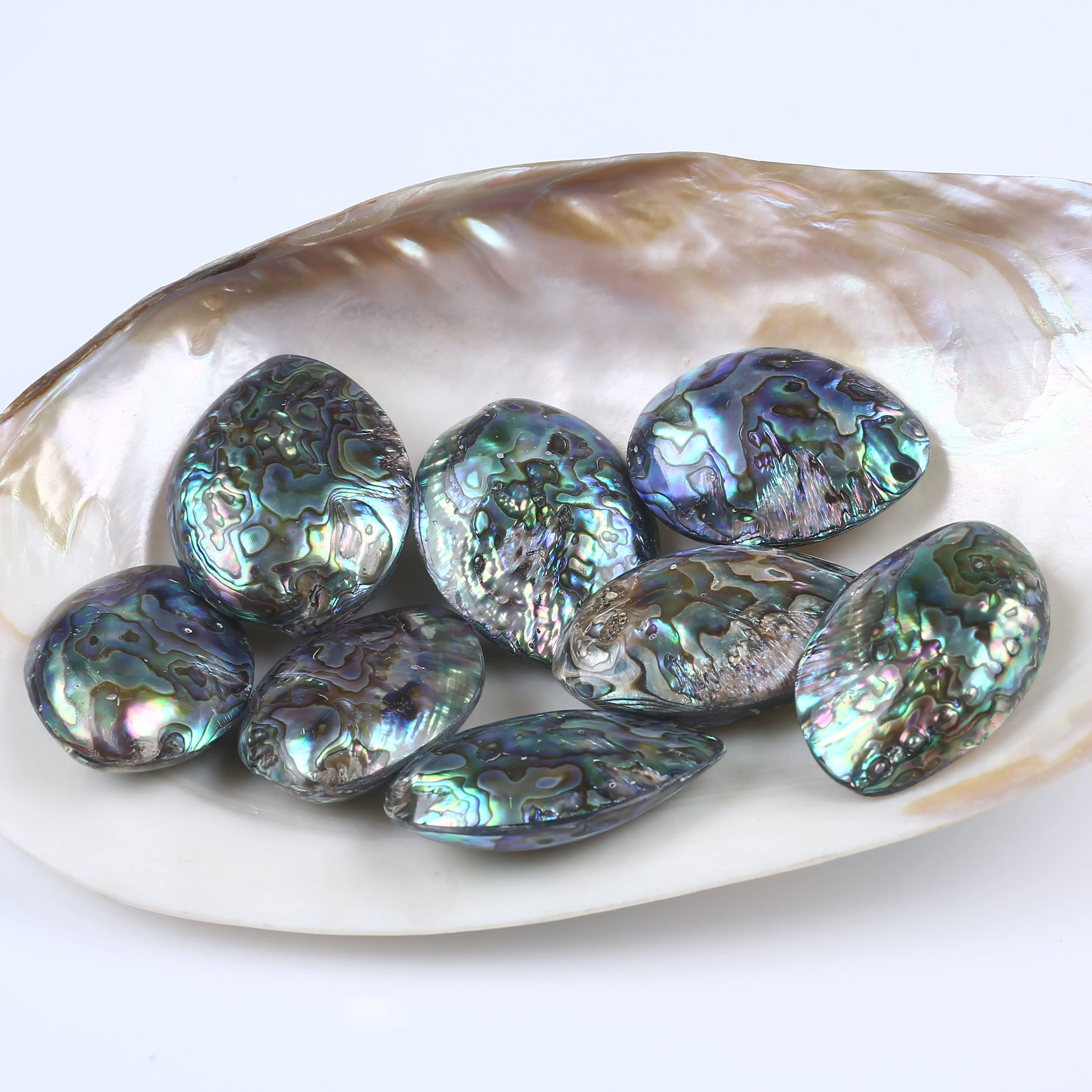 30*50mm Abalone Paua kabuk tırnak sanat kabuk kağıt, doğa kabuk kağıt