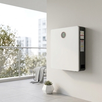 Batterie de stockage d'énergie hybride domestique 5,12 kWh 51,2 V 100 Ah LiFePO4 murale ou au sol pour système solaire résidentiel
