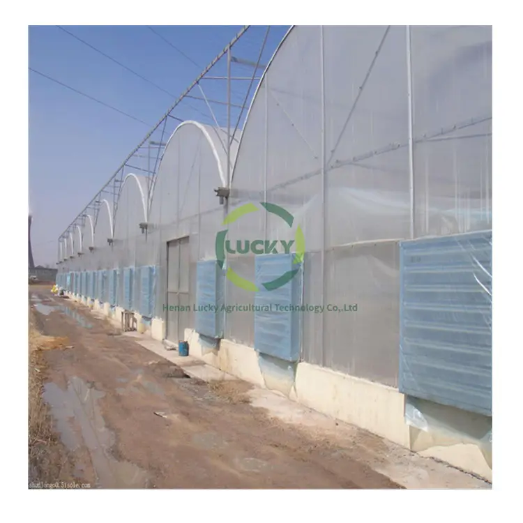 Pasokan langsung dari pabrik peralatan sistem pertumbuhan lengkap hidroponik pertanian pintu geser Polytunnel multi-rentang rumah kaca
