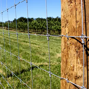 Galvanizado fixo nó Wire Mesh Farm Fence para Deer Cattle Horse