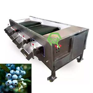 2 Tingkat Klasifikasi Blueberry dan Sabuk Konveyor Mesin Sortir dengan Lubang - Product Image 3
