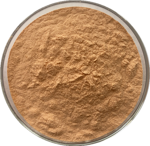 Ekstrak Bubuk Phellodendron Amurense Berkualitas Tinggi Ekstrak Bubuk Phellodendron Amurense Larut Air 10:1 Ekstrak Herbal - Product Image 6