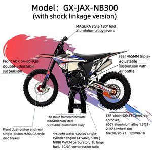 Motocicleta de Gasolina GX-JAX-NB300, 4 Tiempos, SOHC, Refrigerada por Agua, Monocilíndrica, Arranque Rojo, Motocross - Product Image 4