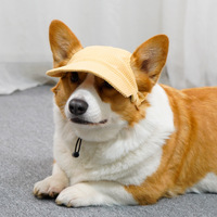 Petkaa – Nouvelle Casquette Hiver Solide en Velours Côtelé pour Chien et Chat, Respirante, Confortable, Portable, Adorable, Lavable à la Main, Accessoire pour Animaux de Compagnie