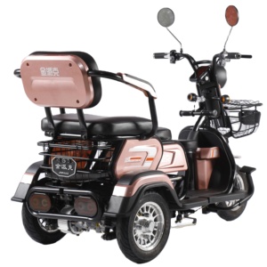 Vélo électrique à trois <span class=keywords><strong>roues</strong></span>, nouveau tricycle électrique (offre spéciale), vélo électrique de route à <span class=keywords><strong>3</strong></span> <span class=keywords><strong>roues</strong></span>, écran LED, 60V, ouvert pour passagers, 30-50 km - Product Image 3