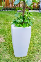 Macetas Luminosas Coloridas para Jardín, Macetas de Plástico con Diseño de Escultura, Lámpara de Pie para Fiestas, Maceta Luminosa