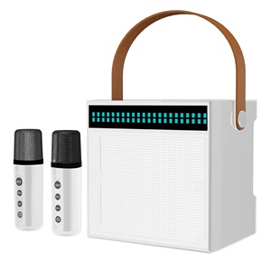 Prix d'usine OEM, karaoké portable sans fil en plastique, LED monochrome, sortie audio 10W, 2000mAh, étanche IPX4 - Product Image 6