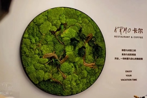 Real Natural Green Preserved Pole <strong>Moss</strong> Pillow <strong>Bun</strong> Cushion <strong>Moss</strong> Frame Art DIY Kit Terrariums Gardening Art Wall Decor - Product Image 3