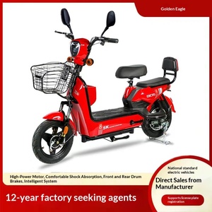 Bicicleta Eléctrica Personalizada de Fábrica TDT182Z de 14 Pulgadas, Scooter Urbano de 48V con Motor en el Buje Delantero, Asistencia al Pedaleo, Autonomía de 45-55km, Nueva Versión Nacional - Product Image 2