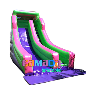 Gonfiabile scivolo a secco gonfiabile rimbalzo per bambini gonfiabile salto e scivolo bagnato asciutto - Product Image 1