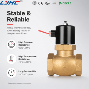 Válvula solenoide de vapor de 2 vías normalmente cerrada, micro, de alta presión, a prueba de explosiones, AC220V DC24V, US15 24V DC, de latón con sello de PTFE DN15 - Product Image 3
