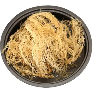1kg cheap price pure new wild dried sea moss edible dehydrated health irish sea moss
