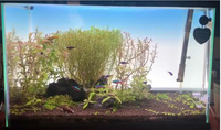 Luz LED de Fondo para Acuario de Interior, Material PMMA, LGP-2021, Tamaño Personalizable, No Impermeable, Grado A