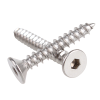 Fabricant de vis sur mesure M3 M12 M16 Tête hexagonale Nickel Chrome 304 316 316l Vis autotaraudeuses en acier inoxydable