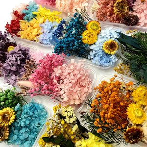 Kit de Matériaux de Fleurs Séchées DIY pour Fête de Remise des Diplômes - Cadres Photo, Bouteilles Flottantes, Maternelle, Salon - Product Image 3