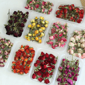 Caixa de Botões de Rosa Secos Multicoloridos para Acessórios de Fotografia, Decoração de Mesa e Fabricação de Velas Aromáticas DIY - Product Image 3