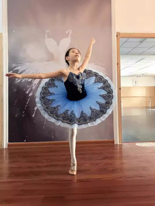 Tutú Profesional de Ballet para Niñas, Disfraz de Lago de los Cisnes, Traje Clásico de Bailarina, Vestido de Princesa de Gasa - Product Image 5