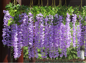 <span class=keywords><strong>Flor</strong></span> Colgante Artificial de Seda de 110 cm para Techo, Enredadera de 3 Ramas, Tiras de Flores Blancas para Decoración de Pared, Flores Colgantes de Glicina - Product Image 6